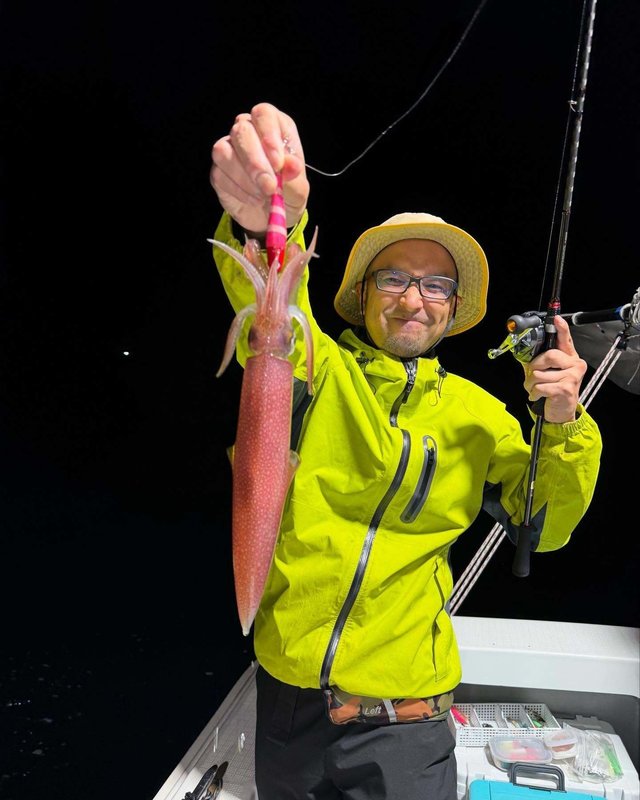 ケンサキ(ケンサキイカ)