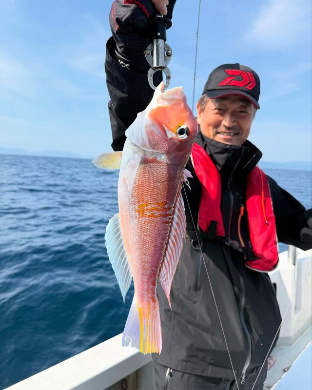 アマダイ(アカアマダイ)