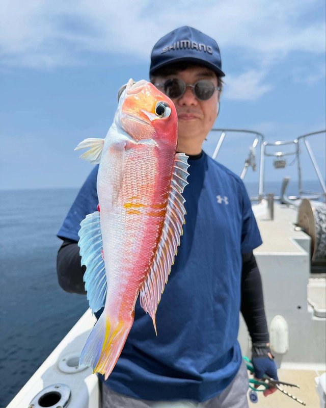 アマダイ(アカアマダイ)