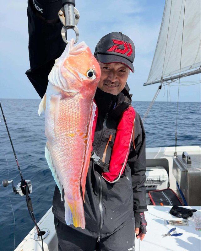 アマダイ(アカアマダイ)