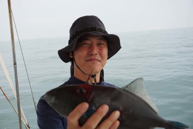 ウマヅラハゲ(ウマヅラハギ)