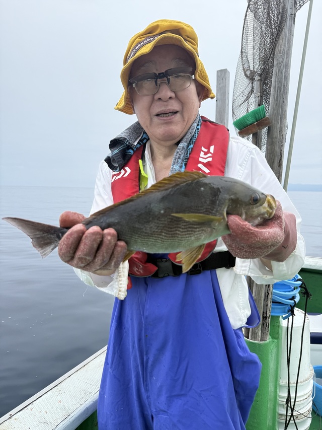 イサギ(イサキ)