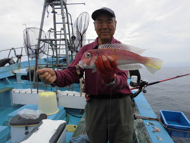 アマダイ(アカアマダイ)