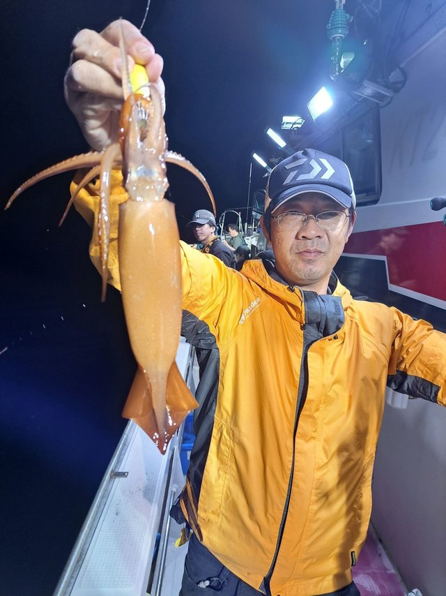 スルメ(スルメイカ)