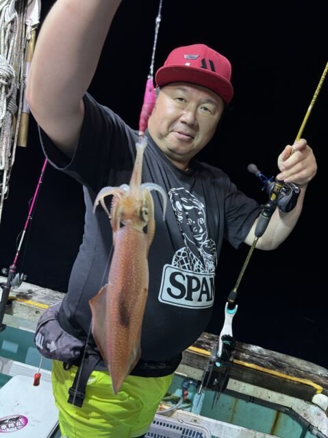 マイカ(ケンサキイカ)