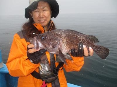 マゾイ(キツネメバル)