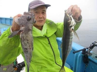 アジ(マアジ)・ソイ(クロソイ)