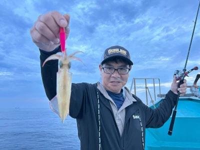 アカイカ(ケンサキイカ)