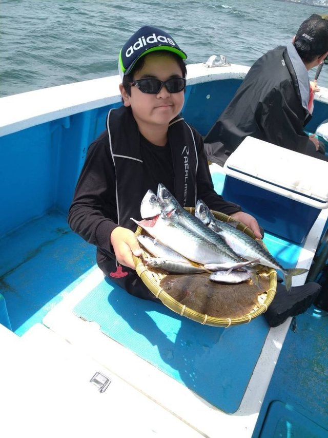 アジ(マアジ)・サバ(ゴマサバ)