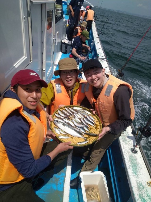 アジ(マアジ)・タカベ・サバ(ゴマサバ)