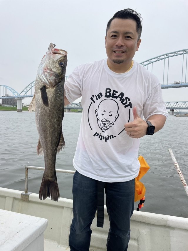 シーバス(スズキ)