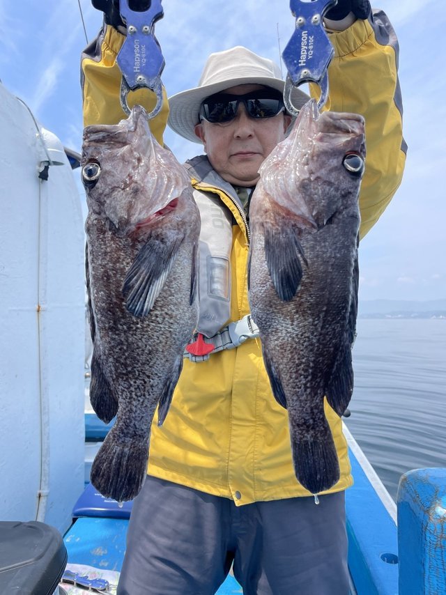 マゾイ(キツネメバル)