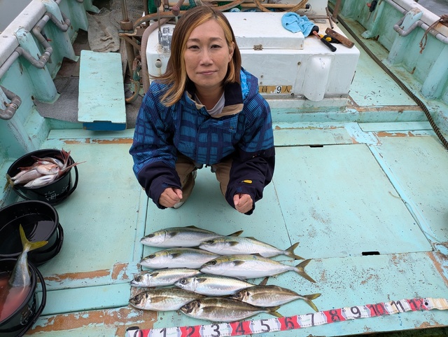 アジ(マアジ)・ハマチ(ブリ)・マサバ