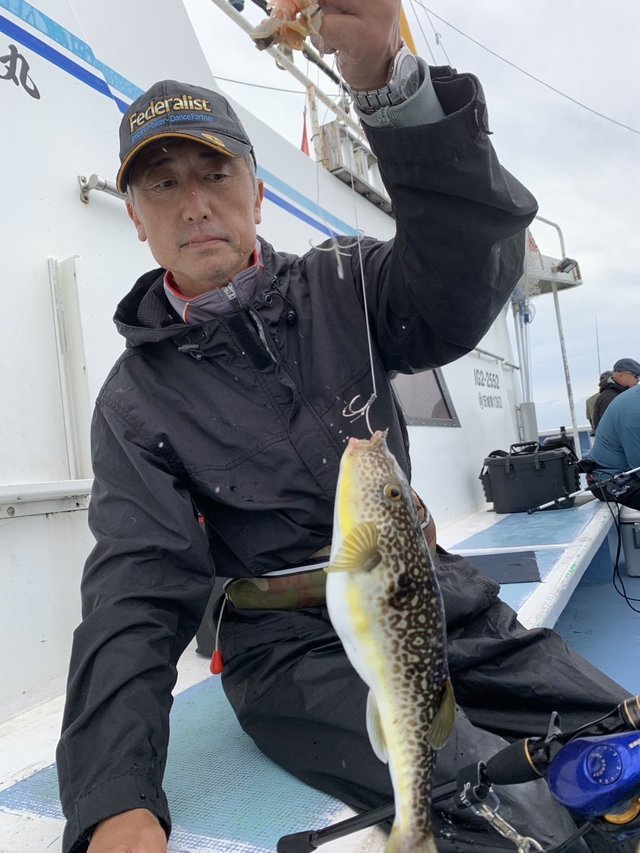 ショウサイフグ