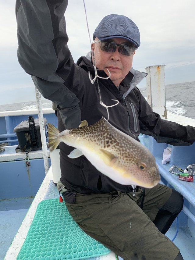 ショウサイフグ