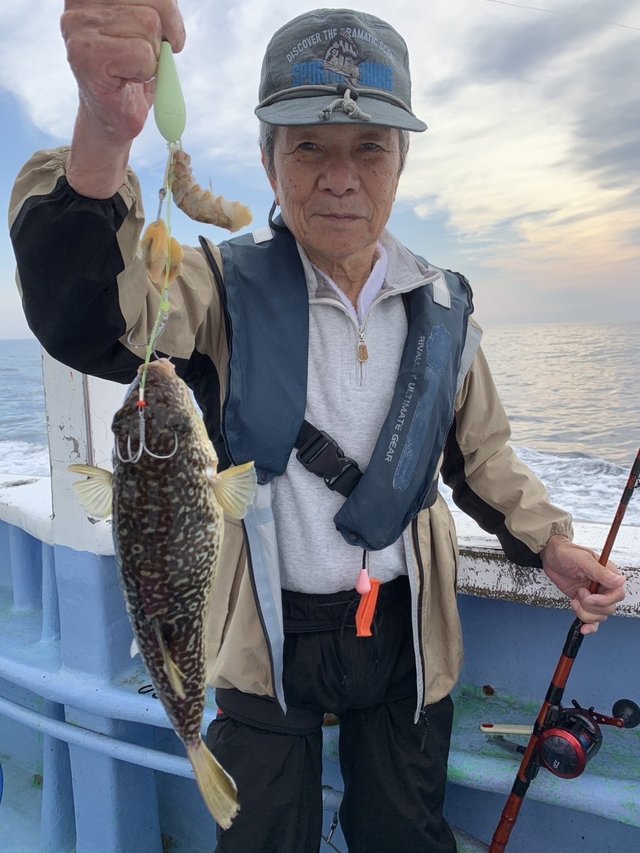 ショウサイフグ