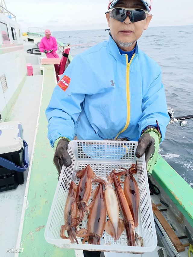 スルメ(スルメイカ)