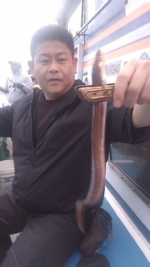 アナゴ(マアナゴ)