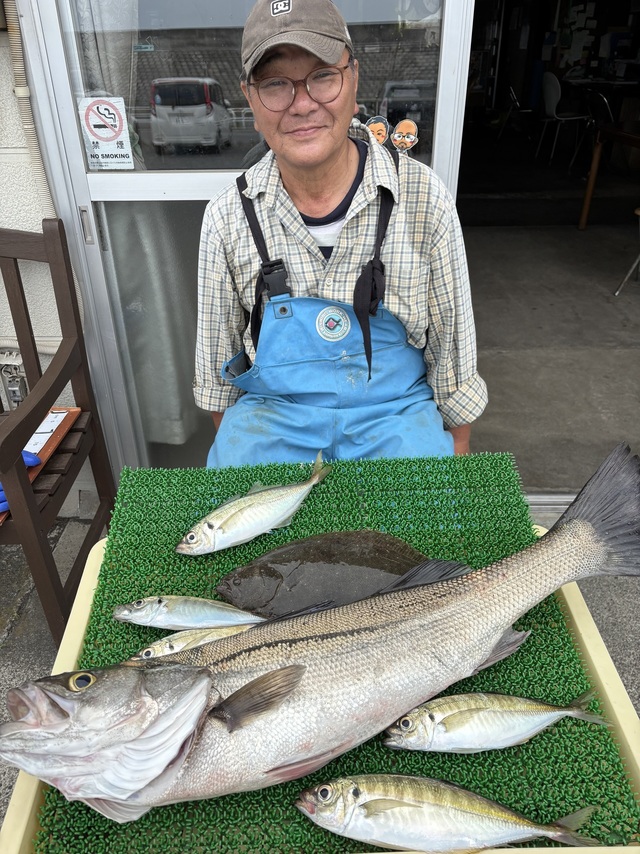 スズキ・アジ(マアジ)