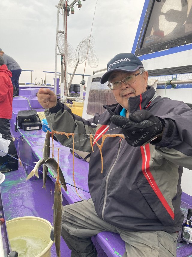 カマス(アカカマス)