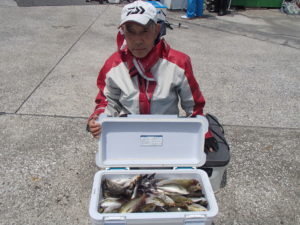 マアジ・イサキ