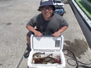 マアジ・イサキ