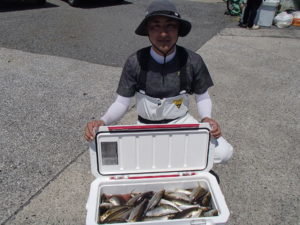 マアジ・イサキ