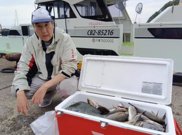 アジ(マアジ)・イサキ