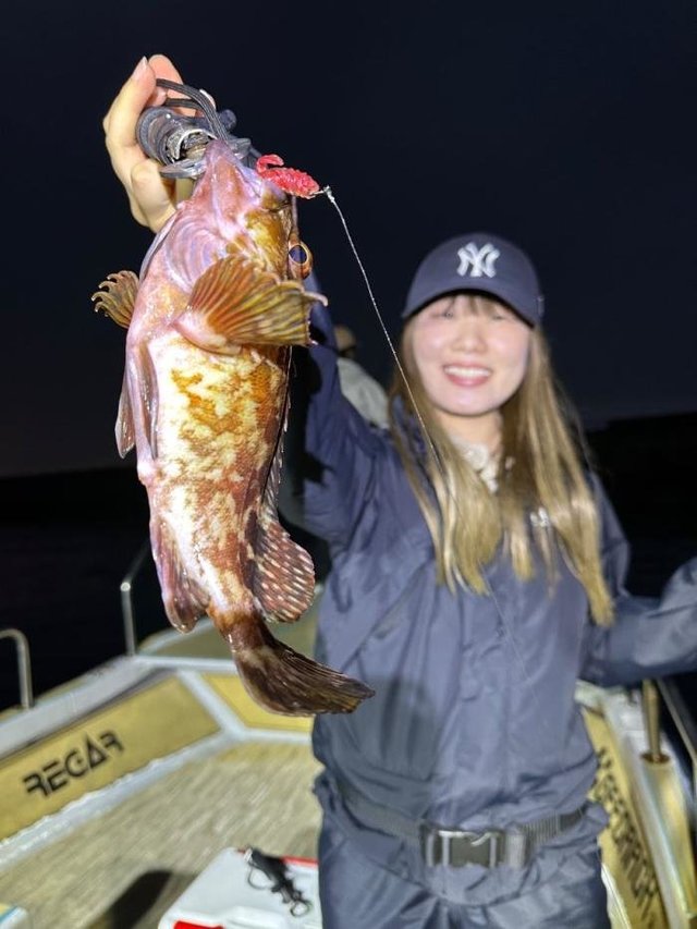 アコウ(キジハタ)