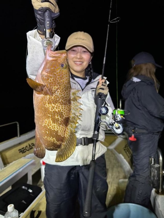 アコウ(キジハタ)