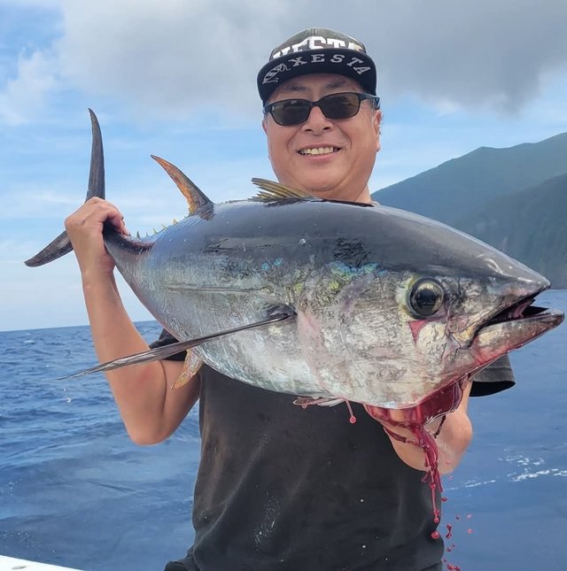 キメジ(キハダ)