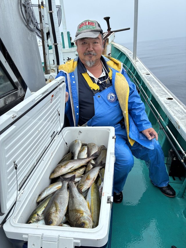 イサギ(イサキ)