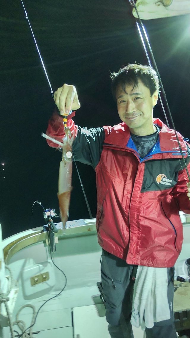 マイカ(ケンサキイカ)