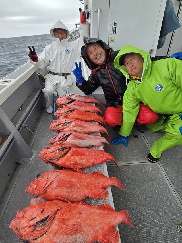 ベニアコウ(オオサガ)