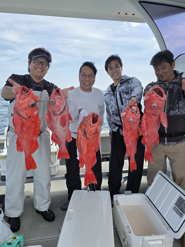 ベニアコウ(オオサガ)