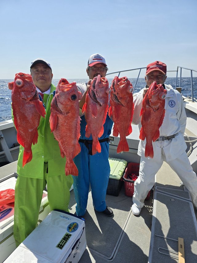 ベニアコウ(オオサガ)