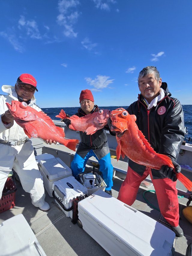 ベニアコウ(オオサガ)