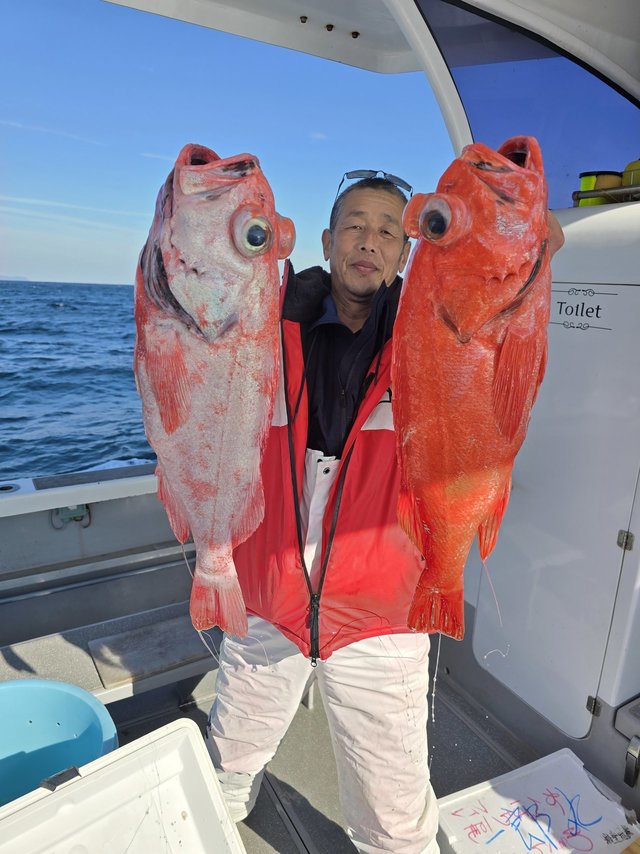 ベニアコウ(オオサガ)