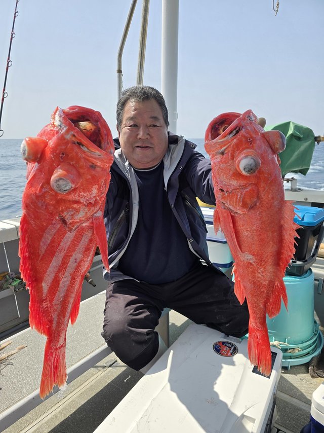 ベニアコウ(オオサガ)