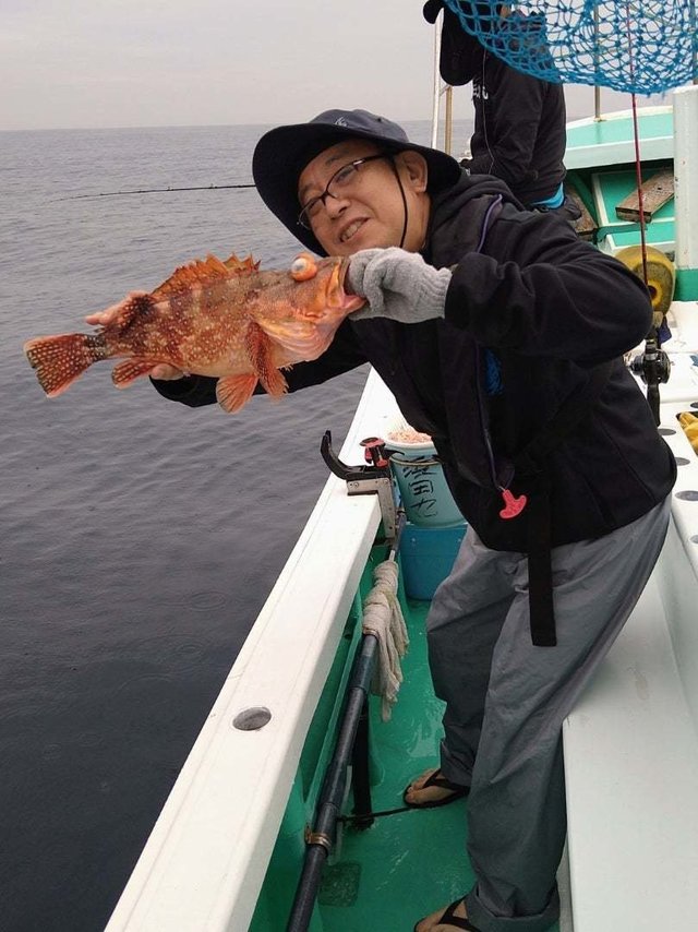 ウッカリカサゴ