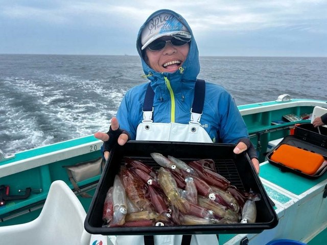 マルイカ(ケンサキイカ)