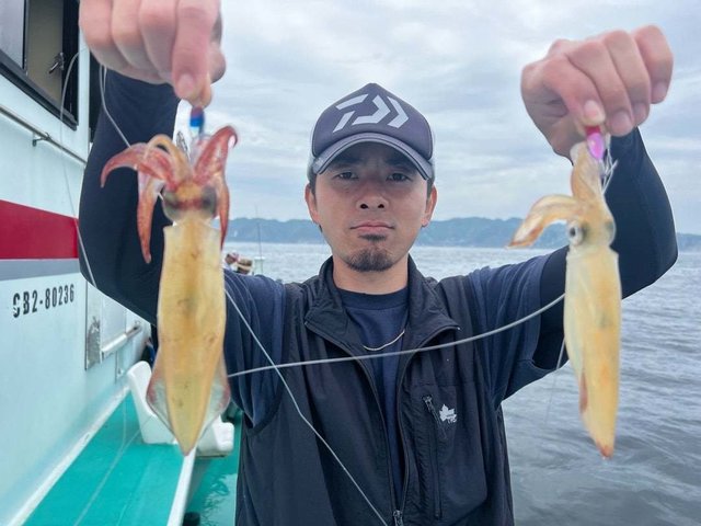 マルイカ(ケンサキイカ)