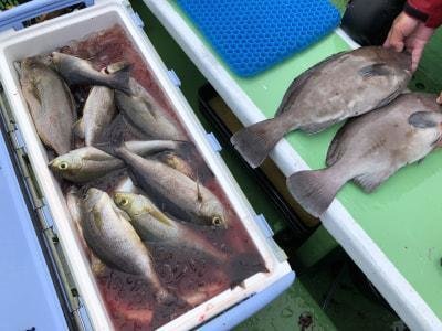 トビハタ・イサギ(イサキ)