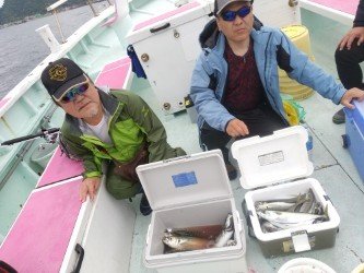 アジ(マアジ)・サバ(ゴマサバ)