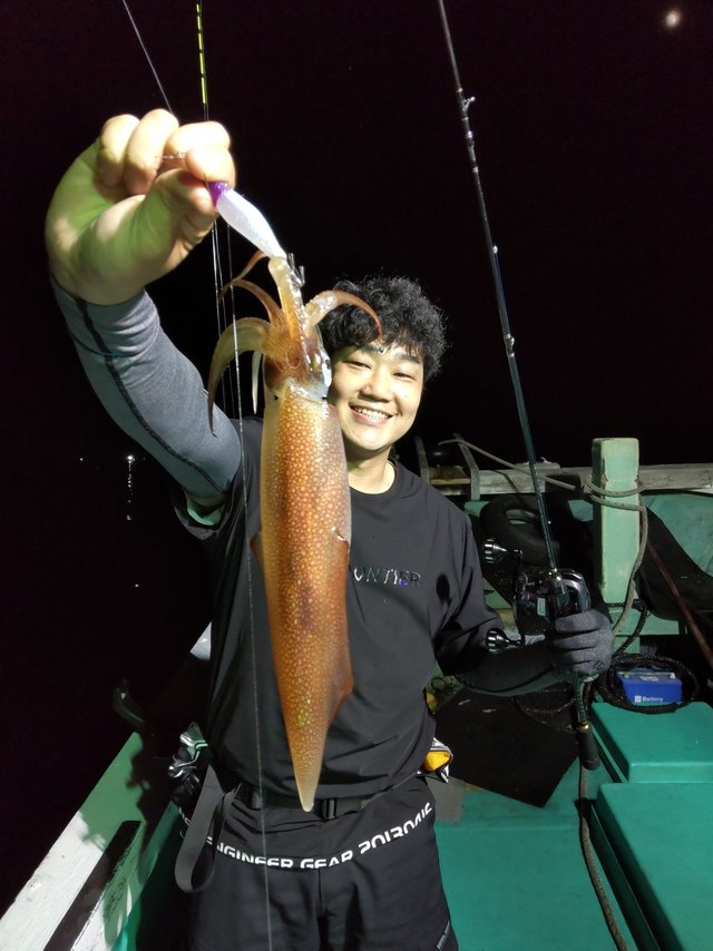 スルメ(スルメイカ)