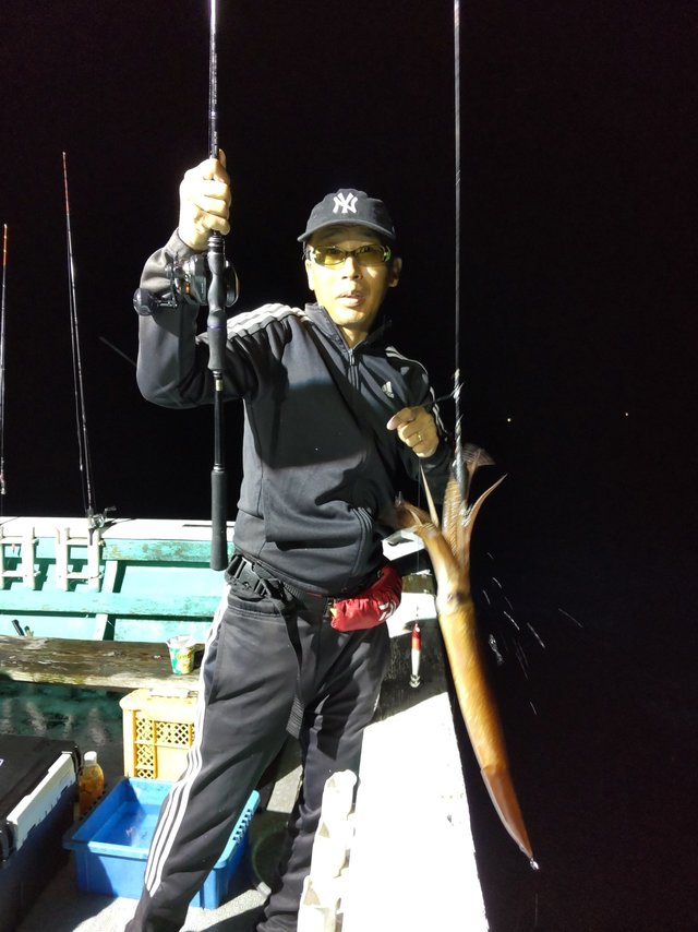 スルメ(スルメイカ)