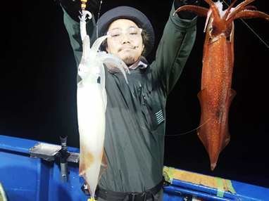 マイカ(ケンサキイカ)