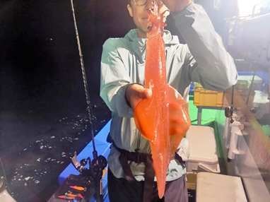 マイカ(ケンサキイカ)