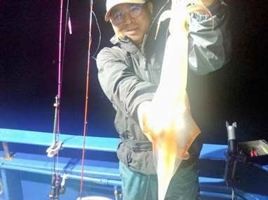 マイカ(ケンサキイカ)