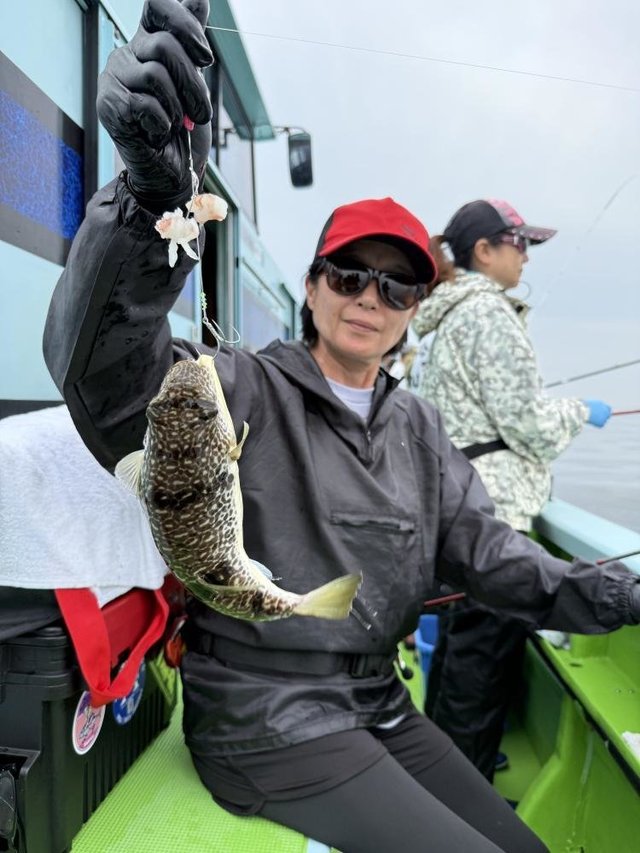 フグ(ショウサイフグ)